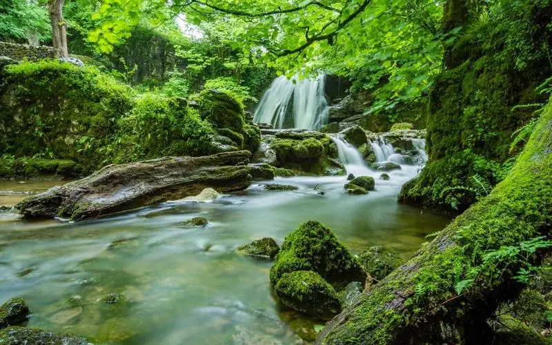 智能智能